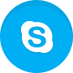 Skype Icon