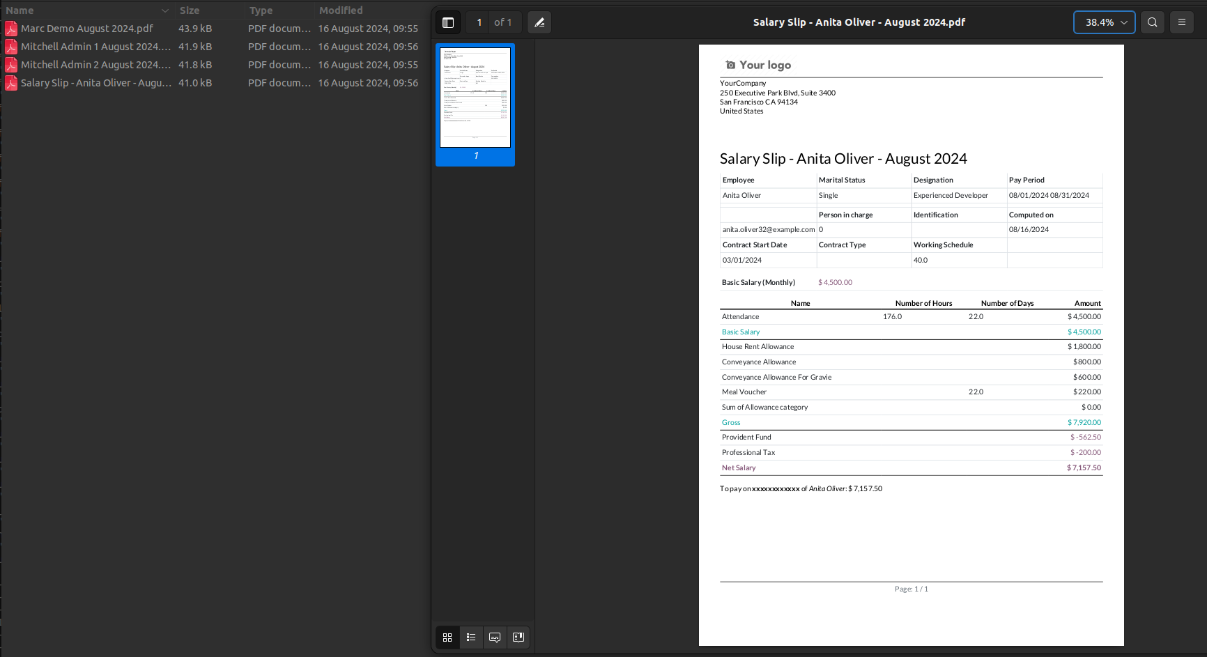 Compressed Payslip Reports