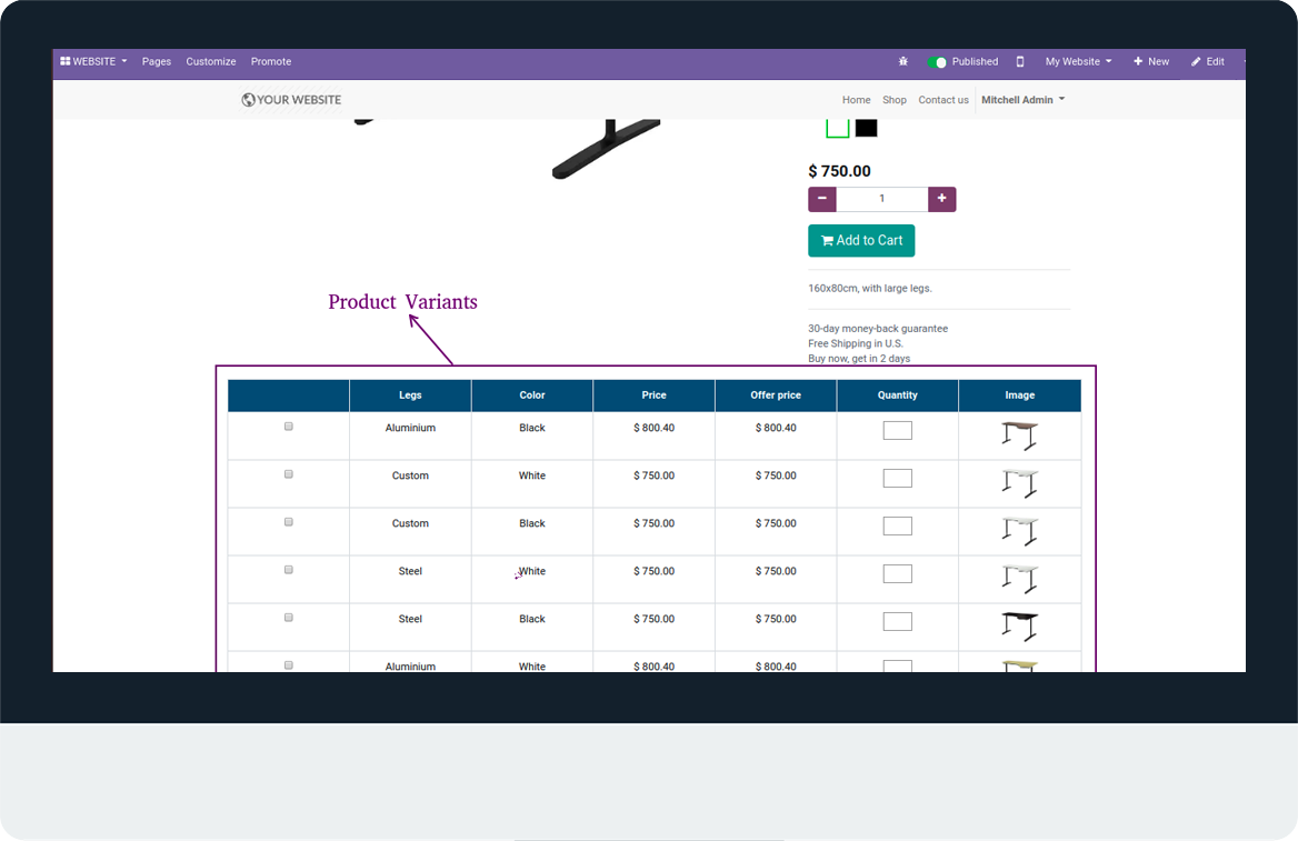 Website Sale Variants Matrix View