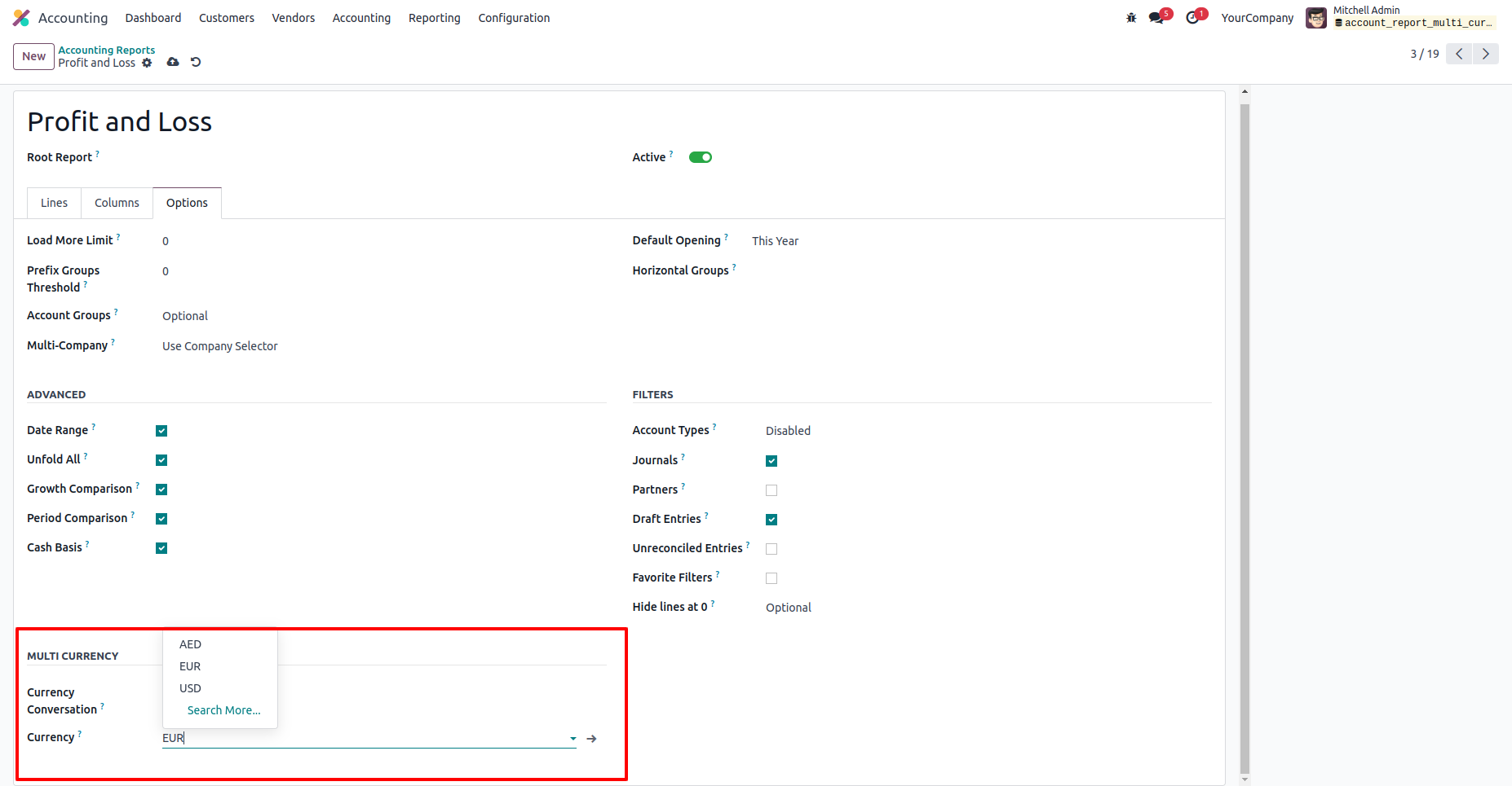 Account Reports Multi Currency