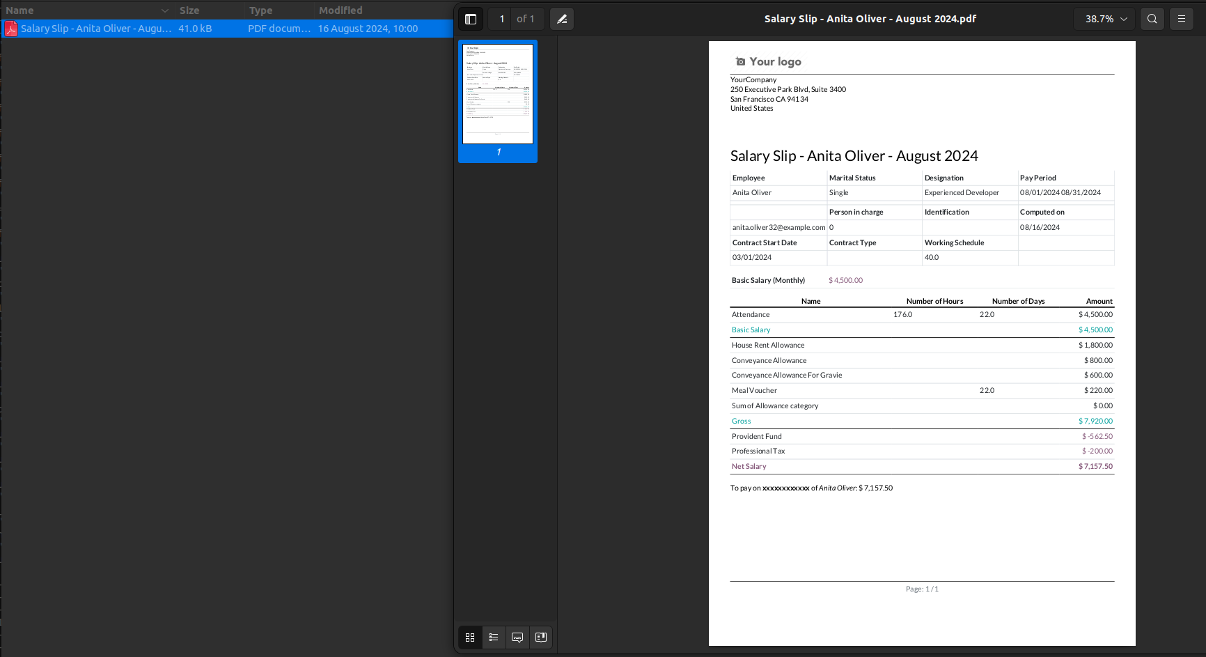 Compressed Payslip Reports