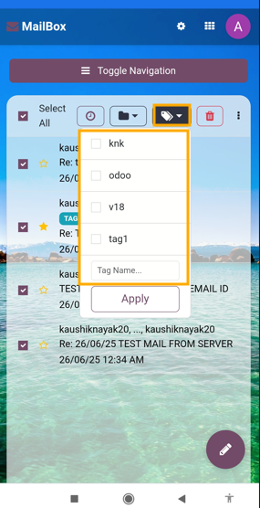 Mobile View