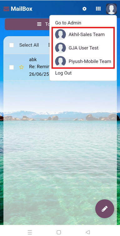 Mobile View