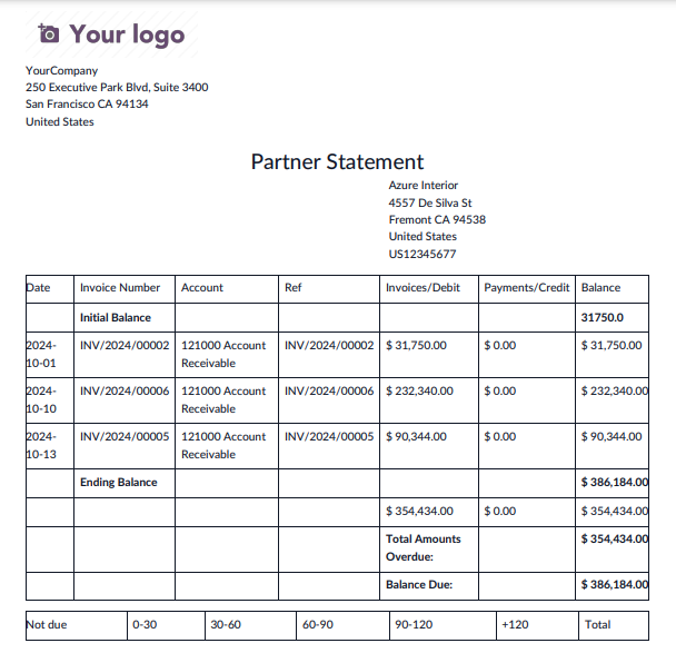 Partner Statement Report