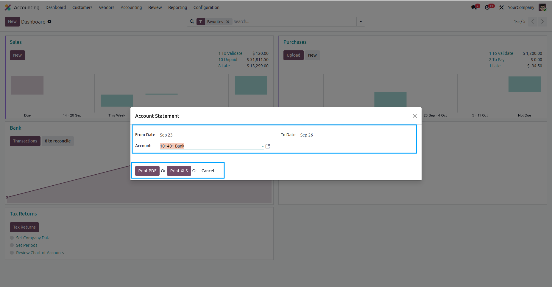 Account Statement Popup