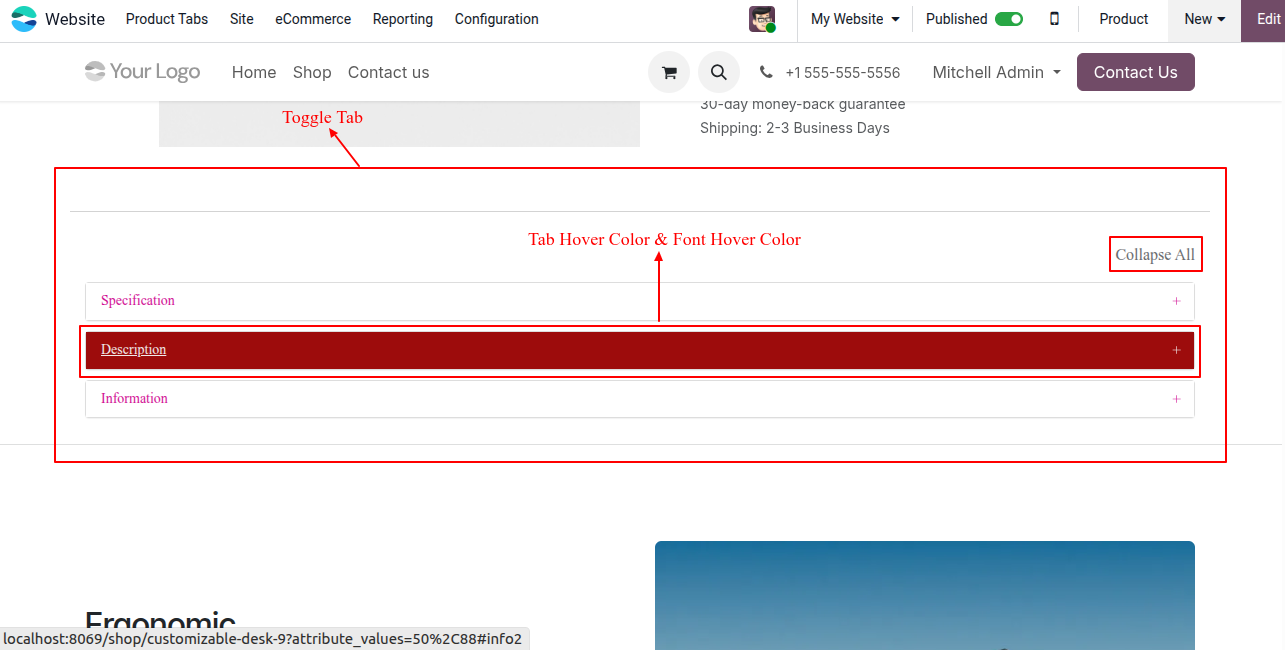 Website Advance Product Tabs