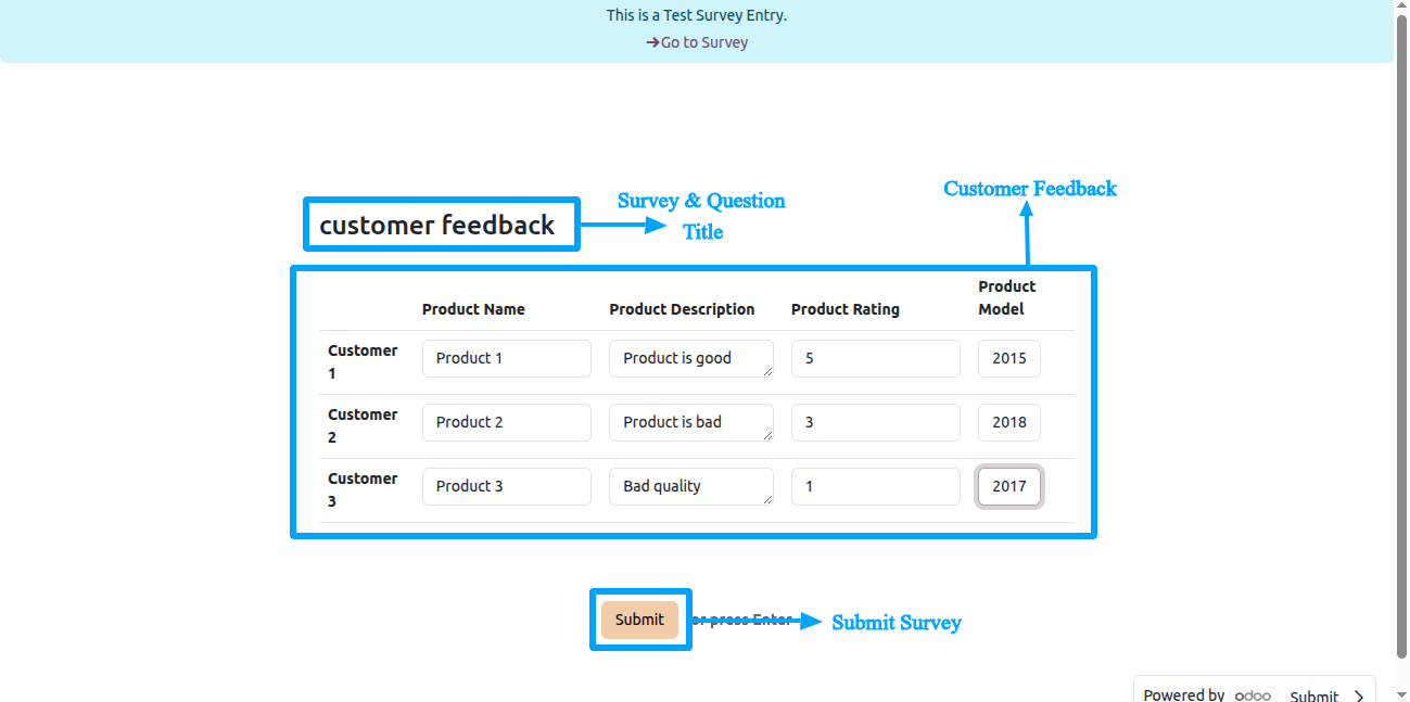 Custom Matrix Survey