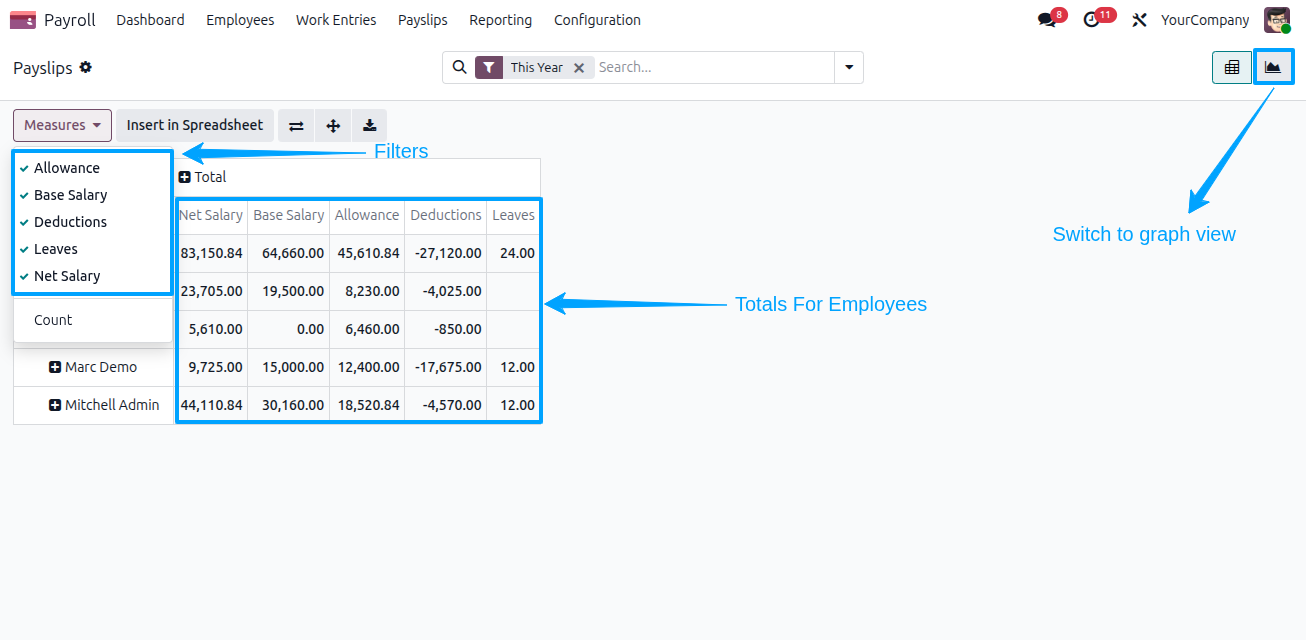 Payslip Report
