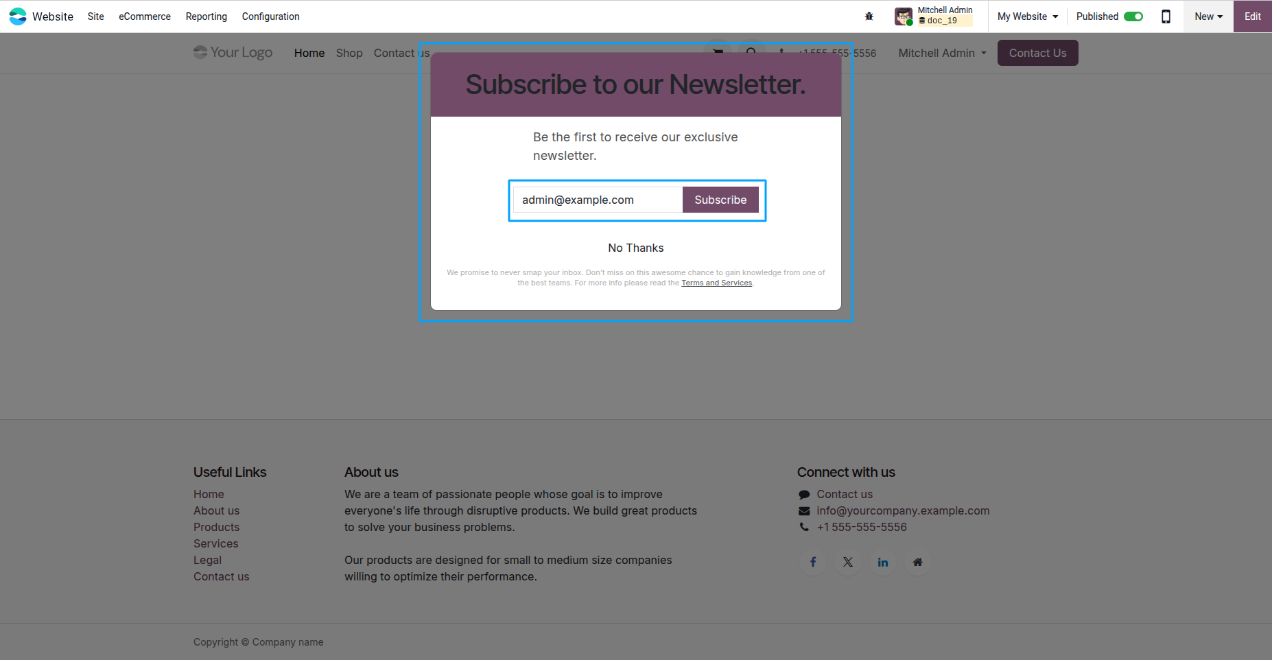 Newsletter Subscribe Popup on Website