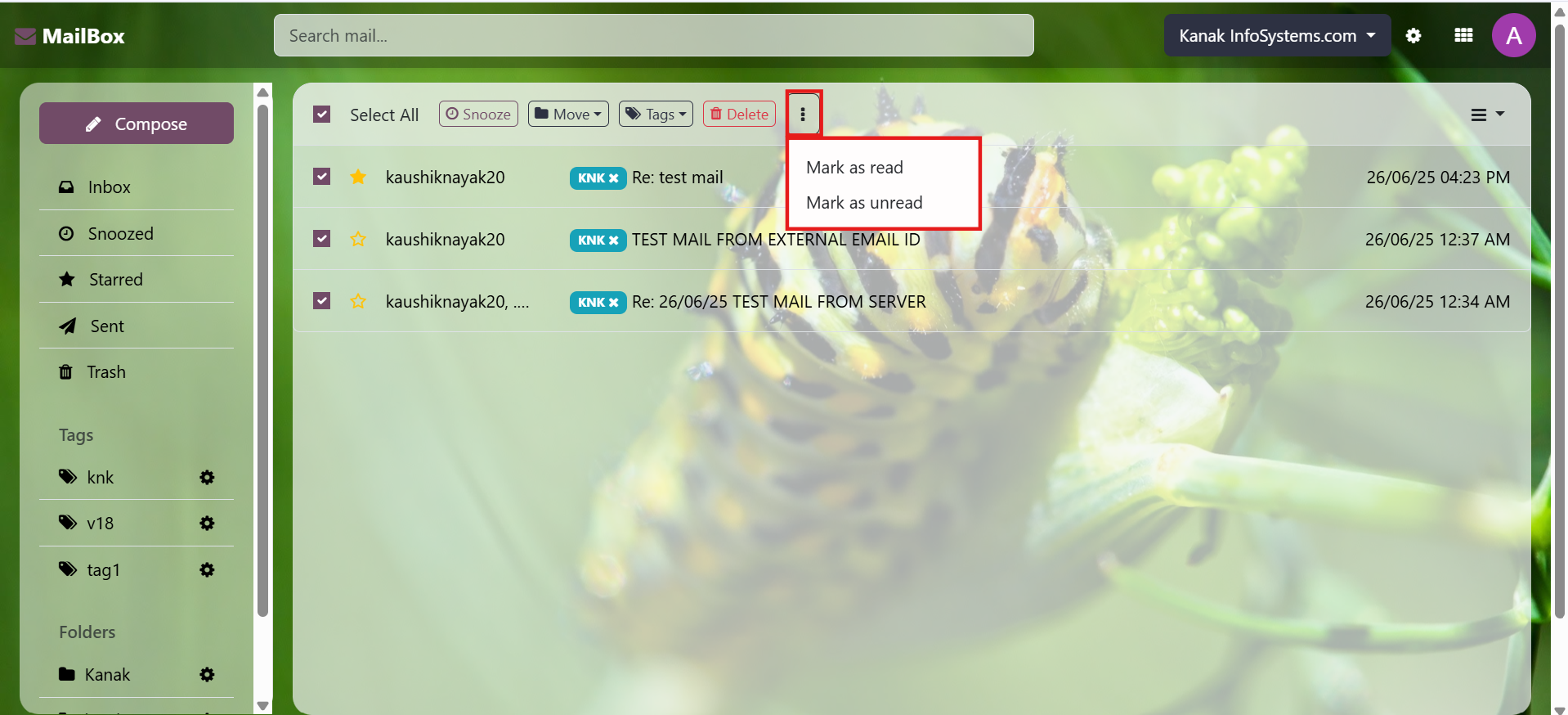 Odoo Inbox productivity tool for handling business emails within Odoo ERP