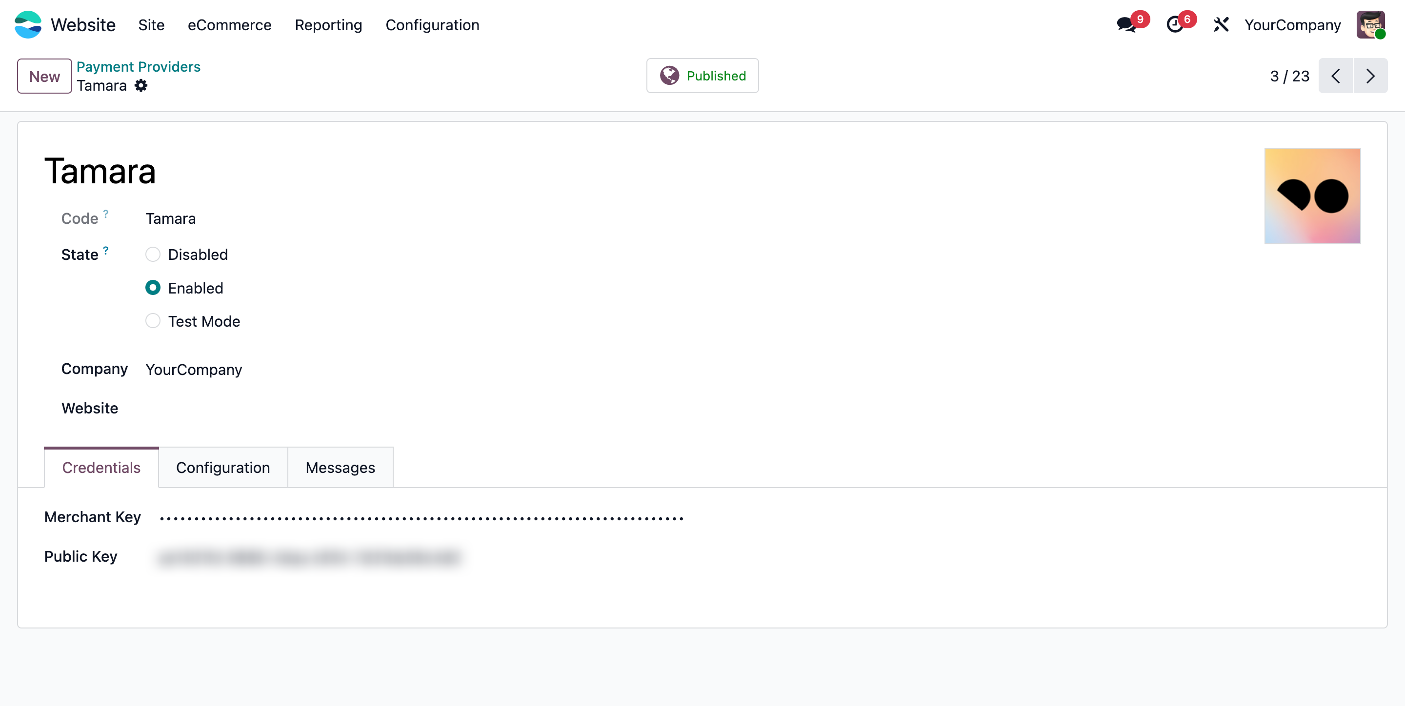 Tamara Payment Provider