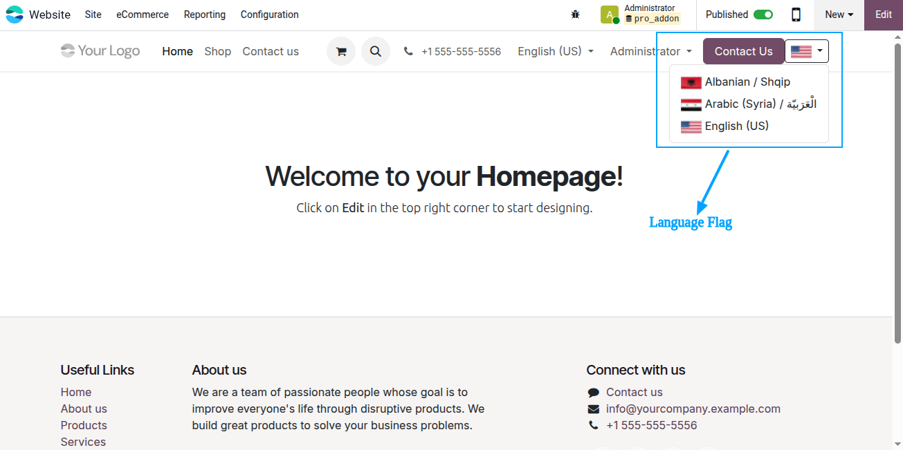 Website Language Flag