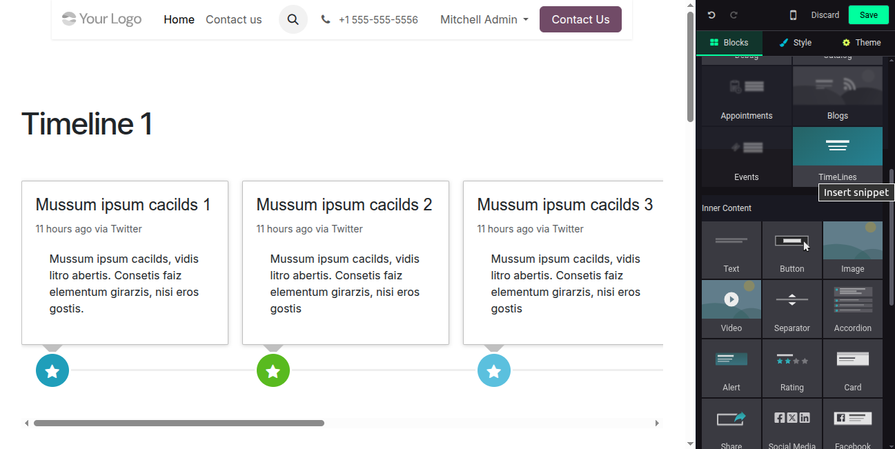 Website Timeline Snippest