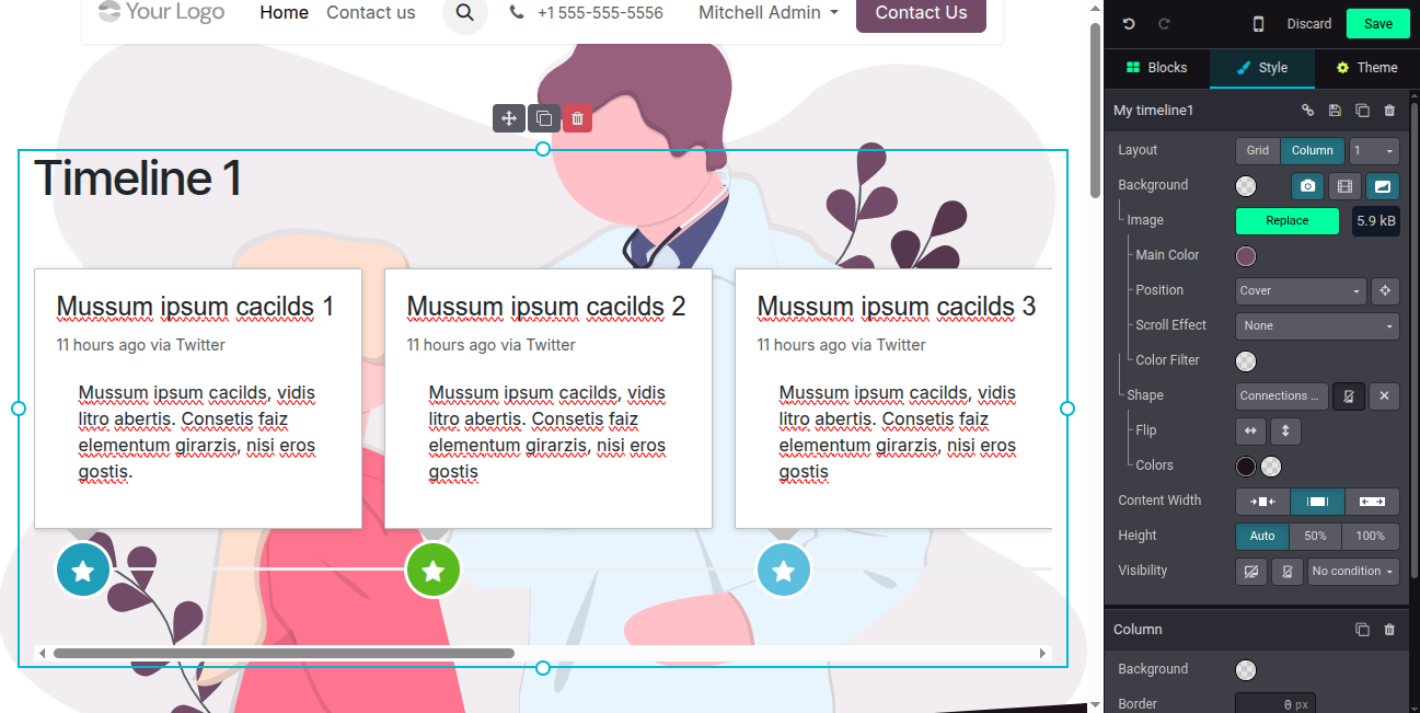 Website Timeline Snippest