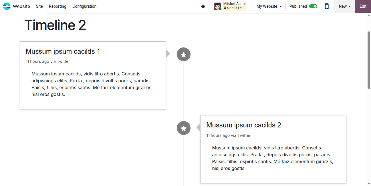 Website Timeline Snippest