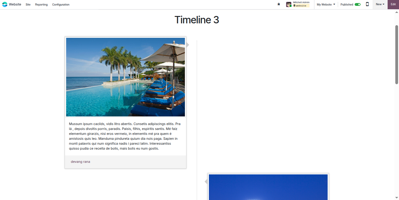 Website Timeline Snippest